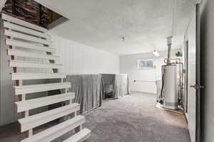 Below grade area with a textured ceiling, gas water heater, carpet, and wooden walls