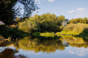 Water view featuring a forest