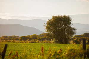 Mountain view