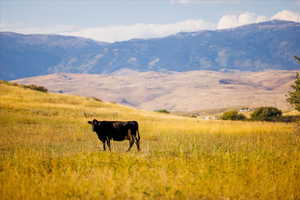 View of mountain background with rural landscape