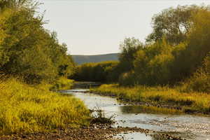 Water view featuring a forest
