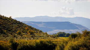 Mountain view featuring a heavily wooded area