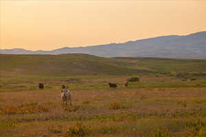 Mountain view featuring rural landscape and agricultural land