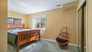Bedroom with carpet and a closet