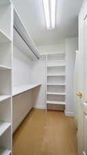 Walk in closet featuring light colored carpet