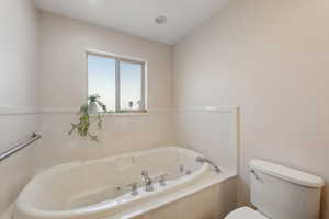 Gigantic jetted soaker tub