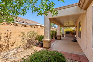 back patio