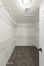 Primary closet