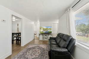 Living room featuring wood finished floors, healthy amount of natural light, and a textured ceiling