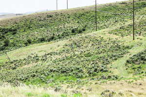 View of undeveloped land