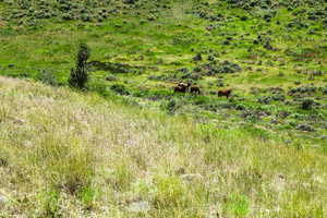 View of nature featuring rural landscape