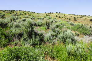 View of undeveloped land featuring rural landscape