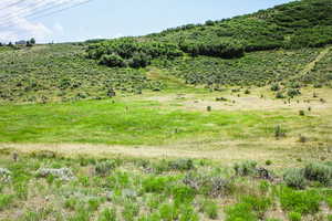 View of nature featuring rural landscape