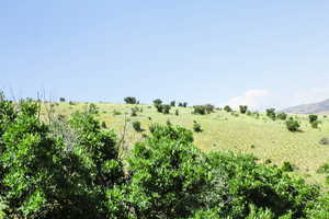 View of local wilderness featuring rural landscape