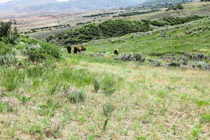 View of mountain background featuring rural landscape and a pastoral area