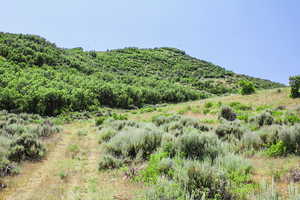 View of mountain background