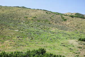 View of mountain background