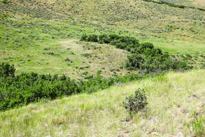 View of undeveloped land