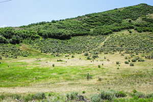 View of mountain backdrop featuring rural landscape