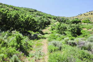 View of mountain backdrop