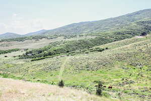 View of mountain background