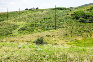 View of yard featuring a view of countryside