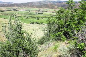 View of mountain background with rural landscape