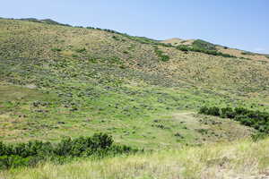 Mountain view featuring rural landscape