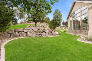 View of grassy yard