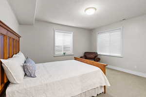 Bedroom with carpet and multiple windows