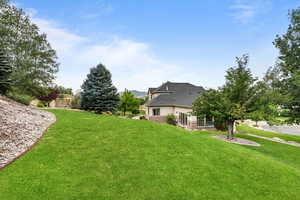 View of grassy yard