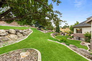 View of green lawn