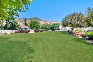 View of yard with a mountain view