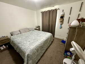 Bedroom featuring carpet flooring and a textured ceiling
