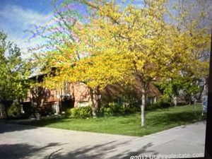 View of home's community with a lawn