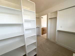 Expansive walk-in closet featuring white built-in shelving, chrome hanging rods, and neutral carpet flooring