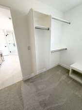 Walk-in closet with built-in shelving, chrome hanging rods, and a light-toned patterned carpet