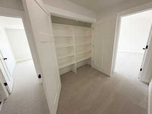 Integrated hallway storage featuring built-in shelving, paneled doors, and neutral carpeting