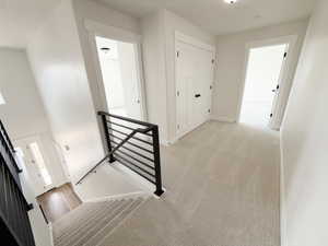 Upper-level landing featuring light-toned carpet, white walls, and a built-in closet with panel doors and black hardware