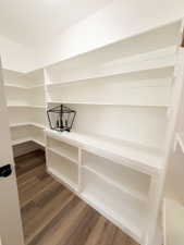 Walk-in pantry featuring extensive built-in shelving, wood-finish flooring, and recessed lighting
