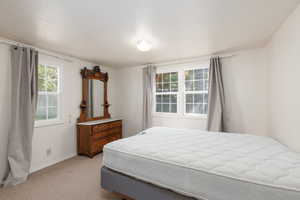 Bedroom featuring multiple windows and light carpet