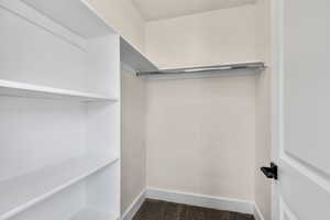 View of walk in closet
