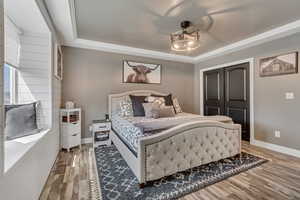 Bedroom with a raised ceiling, wood finished floors, and a closet