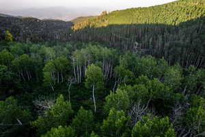 View of mountain background with a heavily wooded area