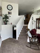 Stairway with carpet floors