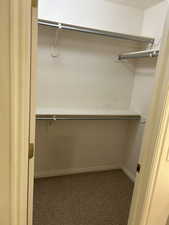 Walk in closet with light carpet