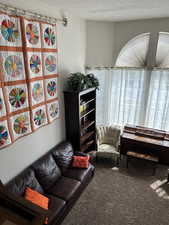 Carpeted living room with a textured ceiling