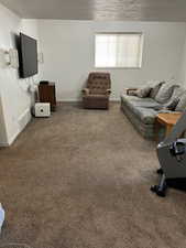 Living room with carpet floors and a textured ceiling