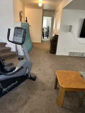 Workout area with carpet