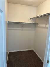 Spacious closet featuring dark carpet